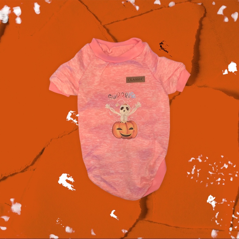 X-Large Surprise Pumpkin Sweatshirt